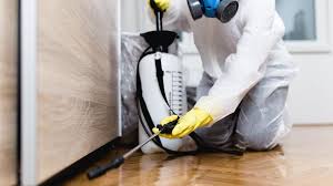 Real Estate Pest Inspections in Marcellus, MI